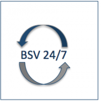 BSV 24/7 Qualittsversprechen